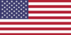 USA Flag USA Flag
